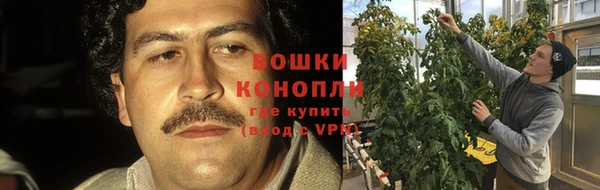 молекула духа Белокуриха