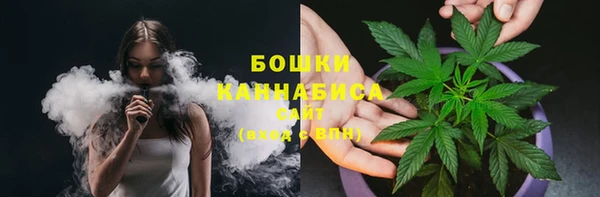 молекула духа Белокуриха