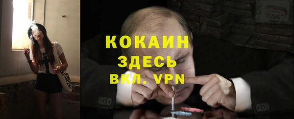 молекула духа Белокуриха