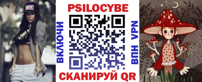 даркнет сайт Бокситогорск Галлюциногенные грибы Psilocybe
